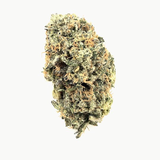 Gamebred Genetics - Bubble Bath - 1