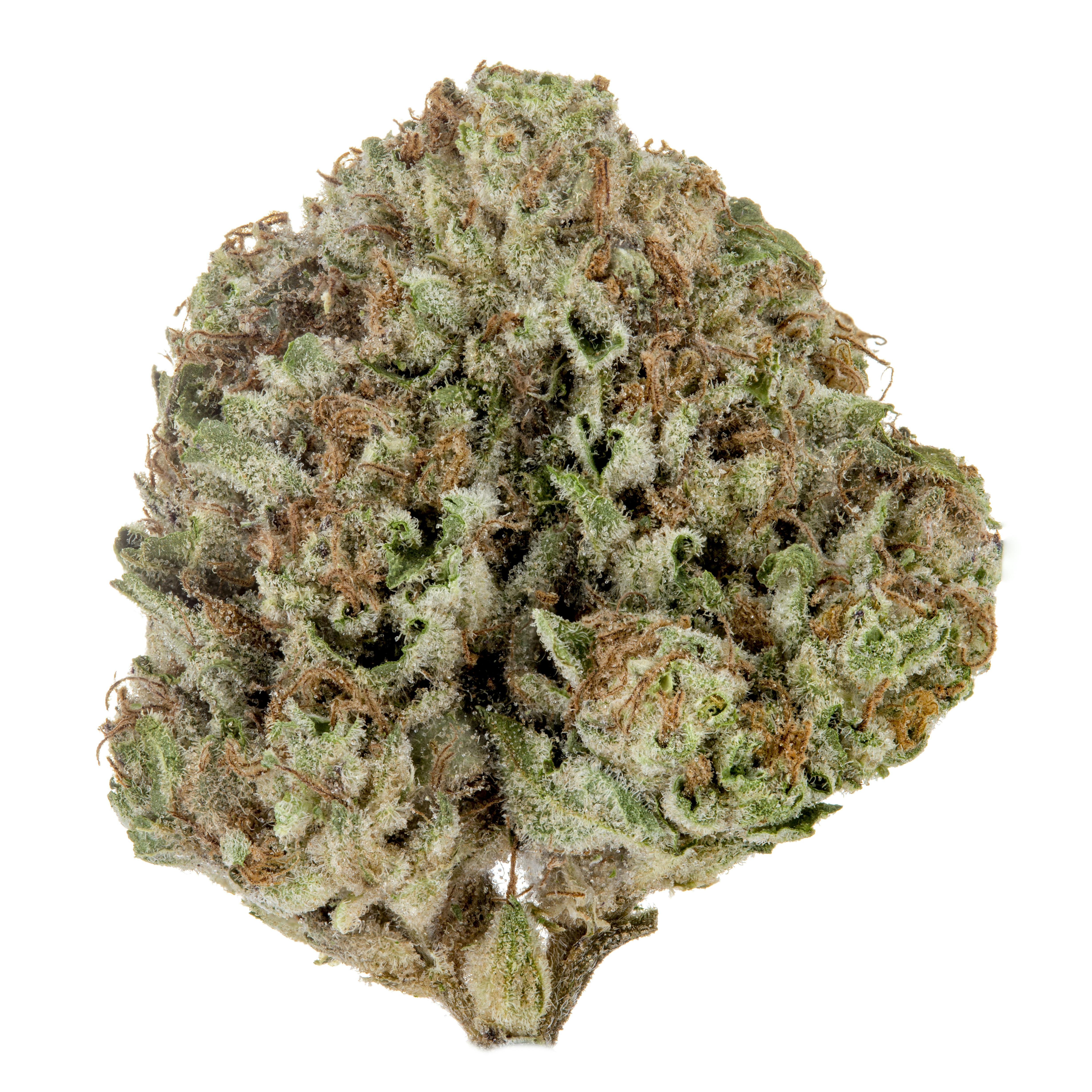 Casacanna - Point Break - 1