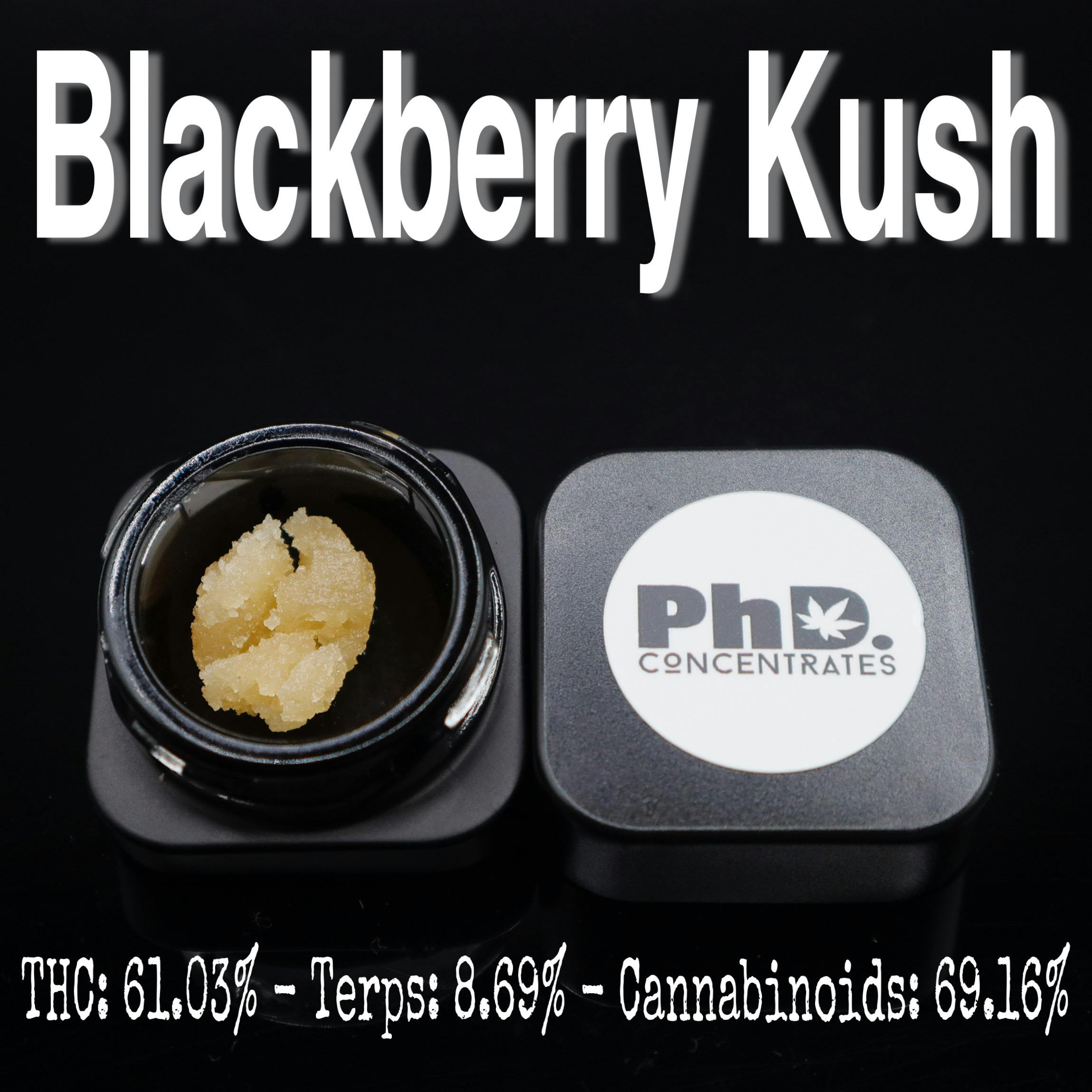 Pharmicated - PhD Concentrate 1 gram - Blackberry Kush Sugar (I) - 1
