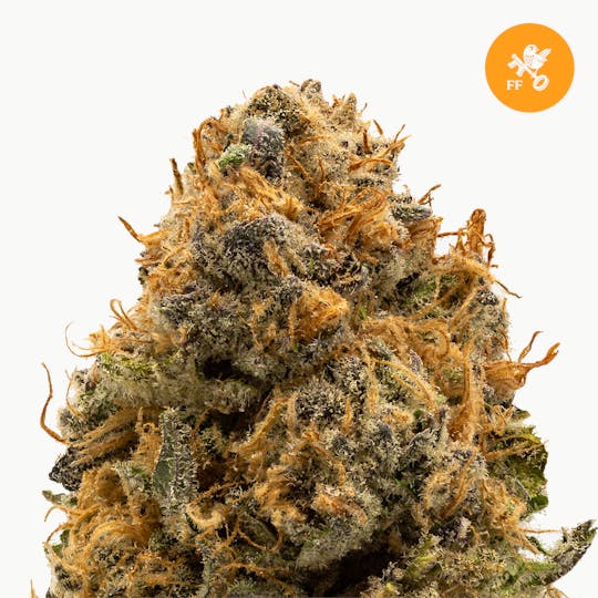 Franklin Fields - Papaya Punch - 1