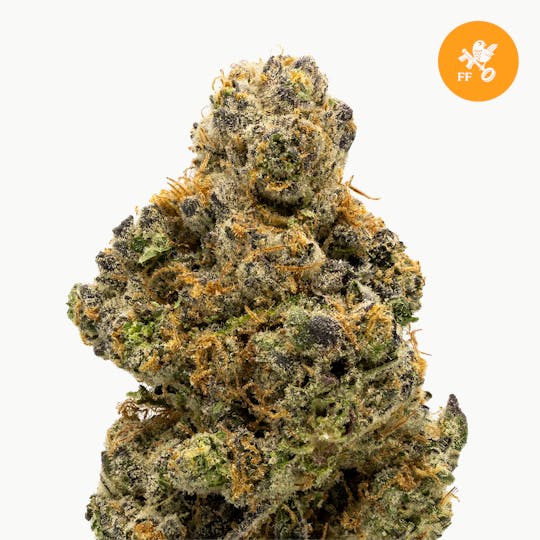 Franklin Fields - Pink Cookies - 1