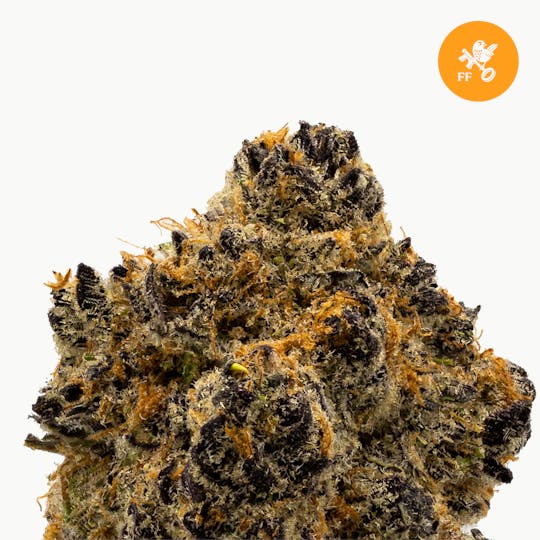 Franklin Fields - Pugs Breath - 1
