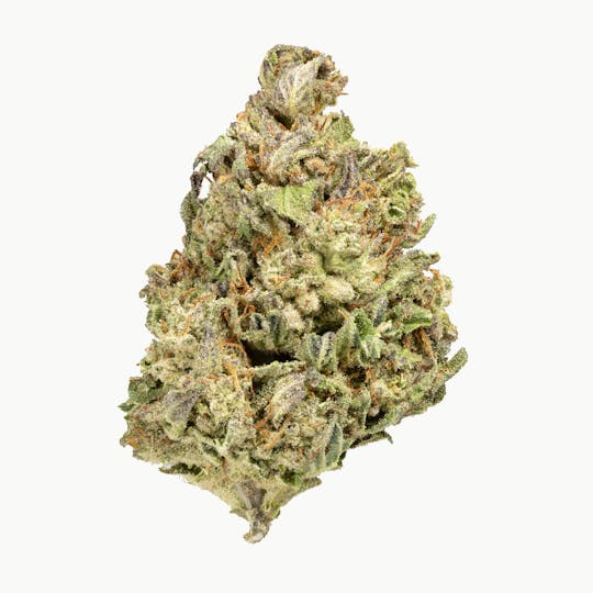 Ebbies Sungrown - Cherry Punch | Ebbies - 1