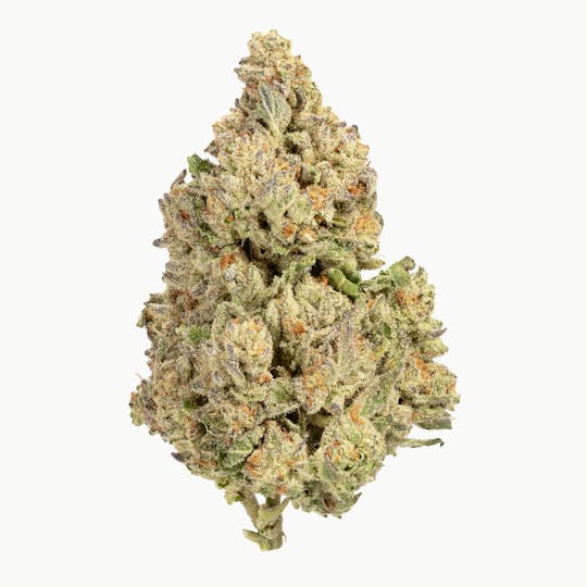 Ebbies Sungrown - Oreoz | Ebbies - 1