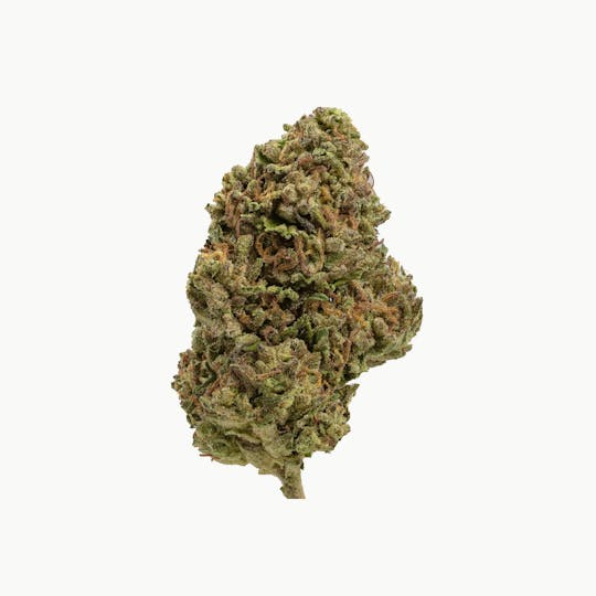 Ebbies Sungrown - Crop Duster | Ebbies Extra - 1