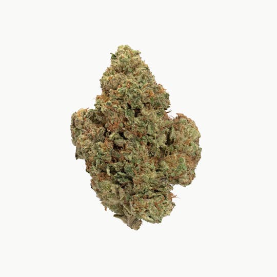 Ebbies Sungrown - Lava Cake | Ebbies Extra - 1