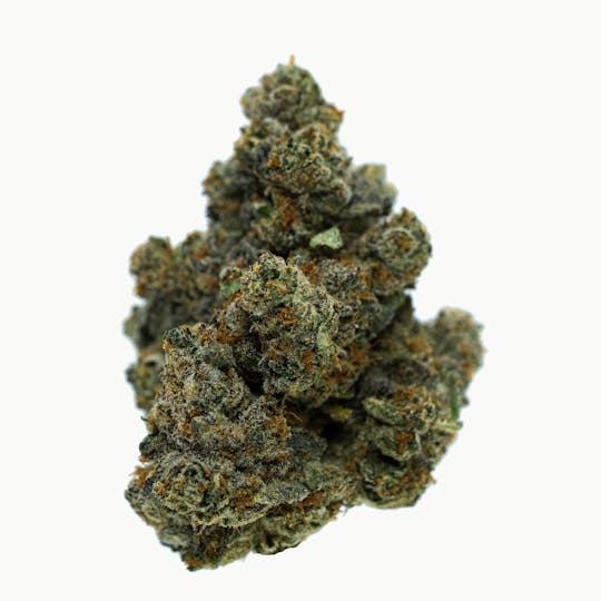 818 Brands - 818 - Gelato - 1