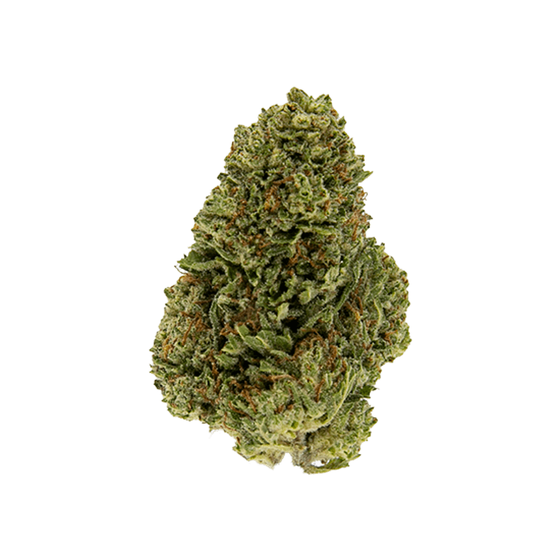 Smoakland - Smoakland Exotix | Venom OG | Big Buds | 14g - 1