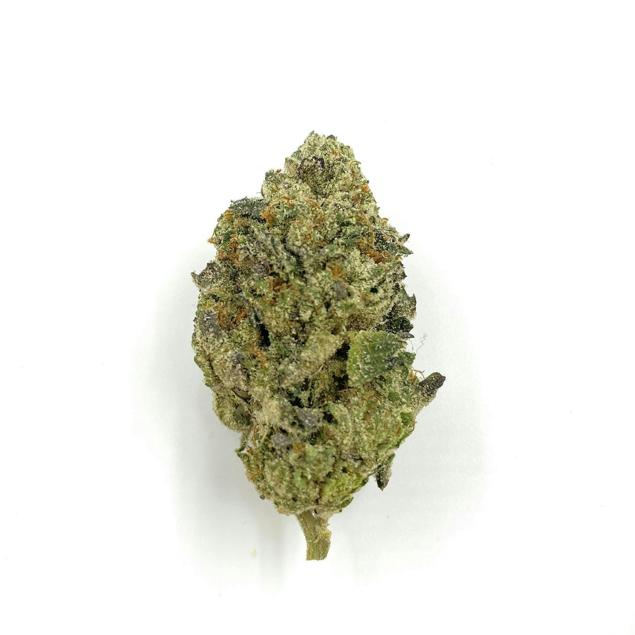 Indico - Scooby Snacks - 1