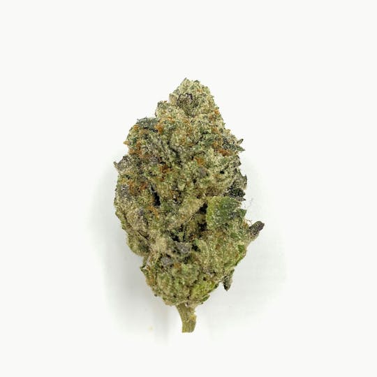Indico - Scooby Snacks - 1