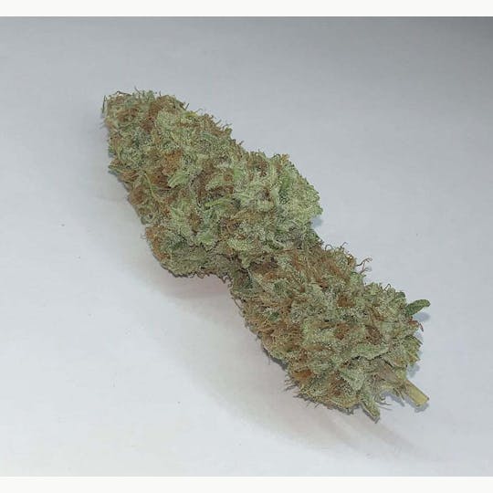 Kismet Wellness - Lemon Jack - 1