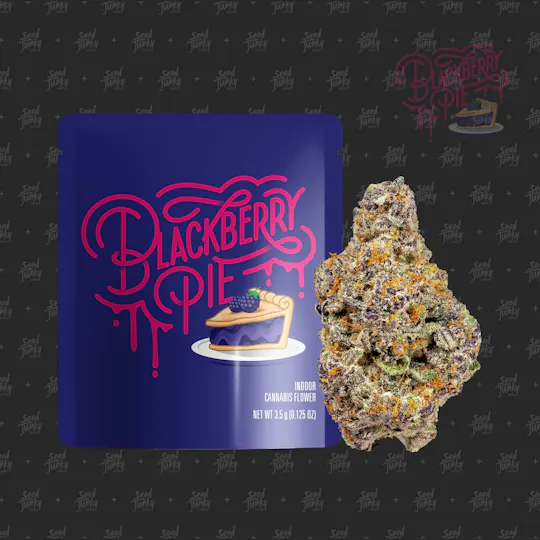 Seed Junky - Seed Junky | Blackberry Pie | Big Buds | 3.5g - 1