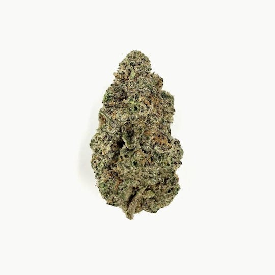 Five Star Fire - Jungle Sunset - 1