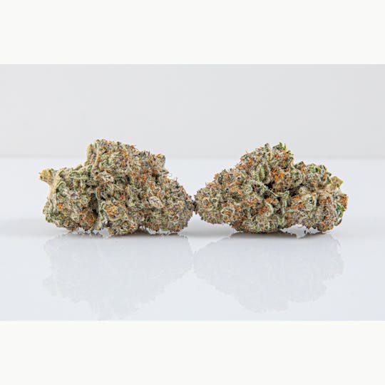 Crush Gardens - ICE CREAM CAKE - 1