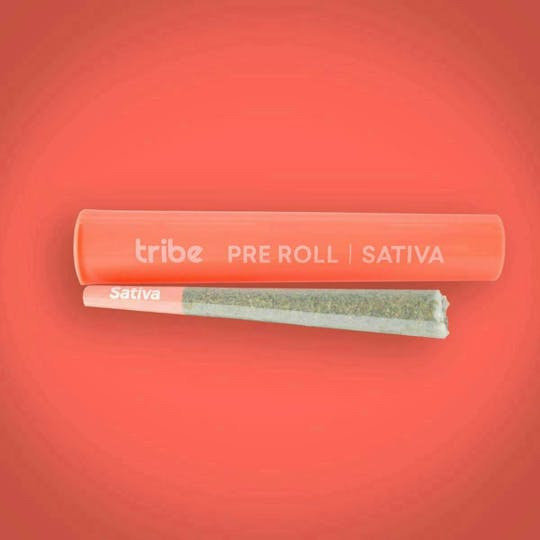 Tribe - Pre-Roll - Sativa - 1g - 1