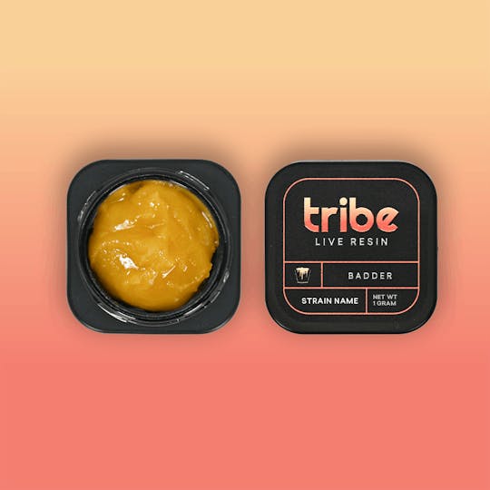 Tribe - Live Badder - Amnesia Haze - 1 Gram - 1