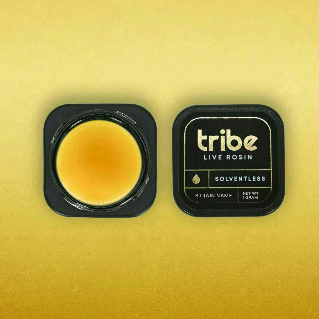 Tribe - Tribe | Amnesia Haze | Live Hash Rosin | 1g - 1