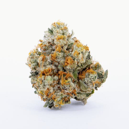 Pure Beauty - AJ Sour Diesel | 3.5g Indoor - 1