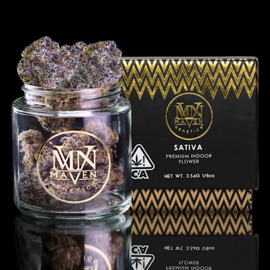 Maven Genetics - Clementine Sour - 1
