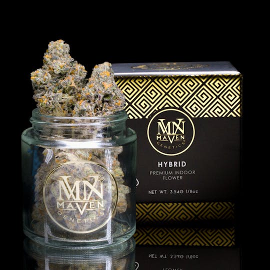 Maven Genetics - Gelato Mints - 1
