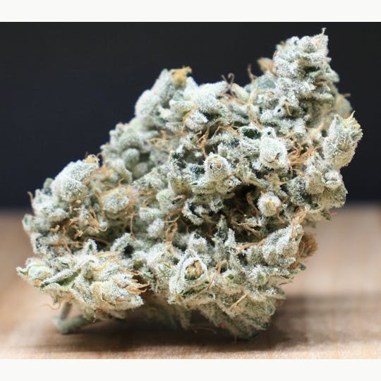The Frost Factory - GMO - 1