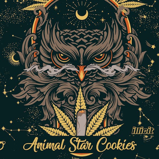 ILLICIT - Animal Star Cookies Live Resin 0.5g Cartridge - 1