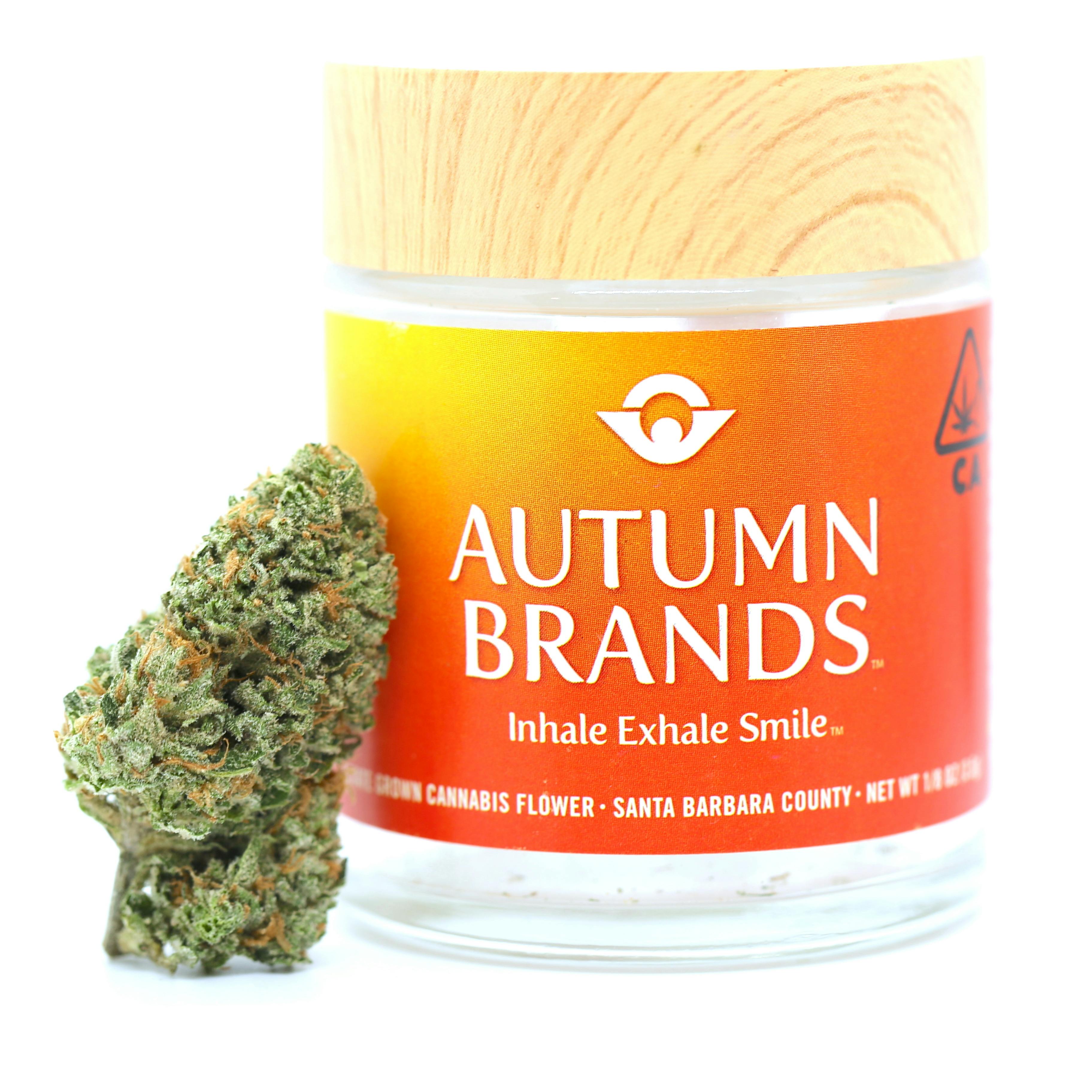 Autumn Brands - Blueberry Fuego - 1