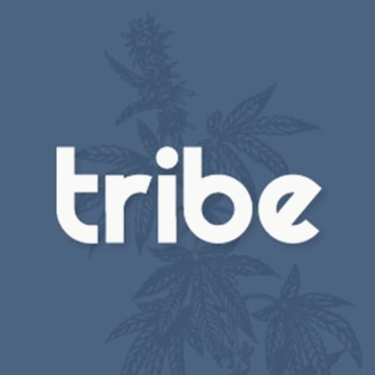 Tribe - Cookies & Cream - Exotics - THCrystal Balls - 1.5g - 1