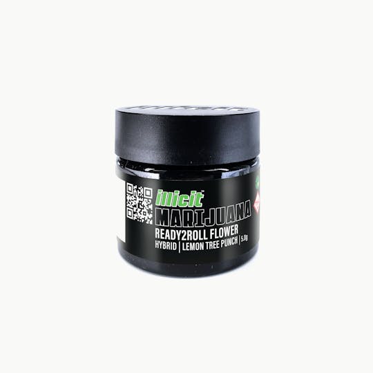 ILLICIT - Lemon Tree Punch Ready2Roll 5G Flower - 1