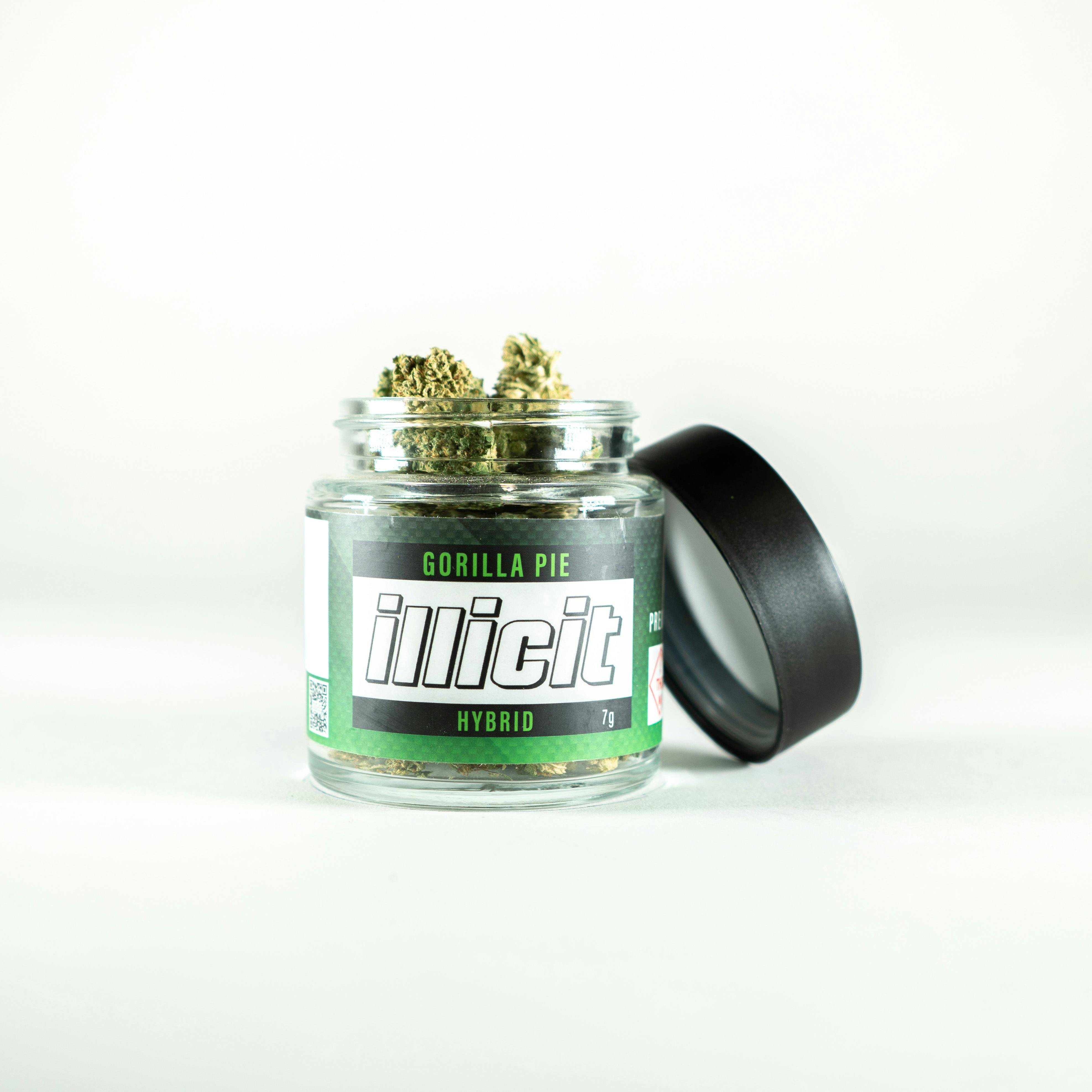 ILLICIT - Gorilla Pie 7G Popcorn Flower - 1