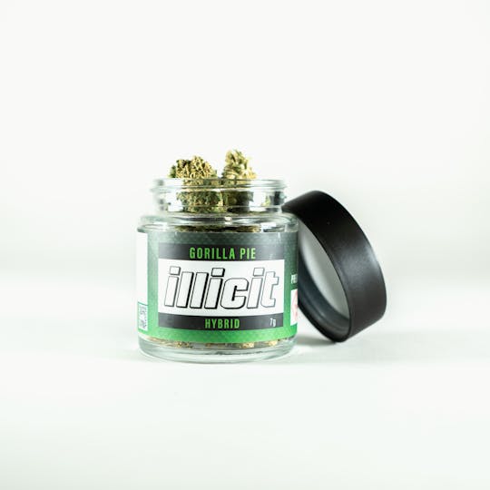ILLICIT - Gorilla Pie 7G Popcorn Flower - 1