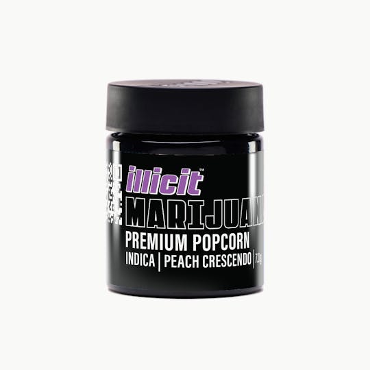 ILLICIT - Peach Crescendo 7G Popcorn Flower - 1