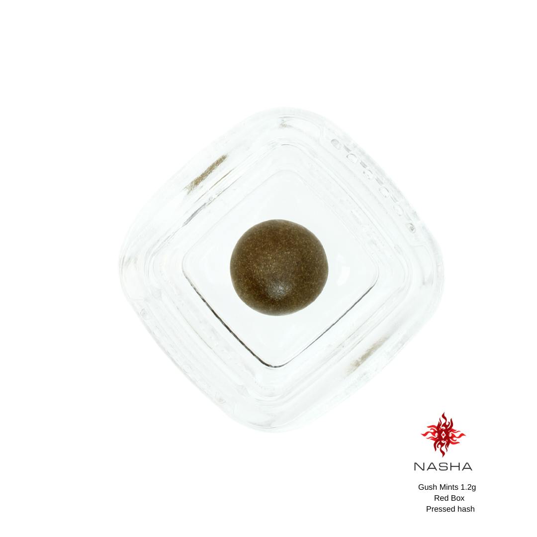 NASHA - Gush Mintz 1.2 g Red Pressed Hash (Bandwagon) - 1