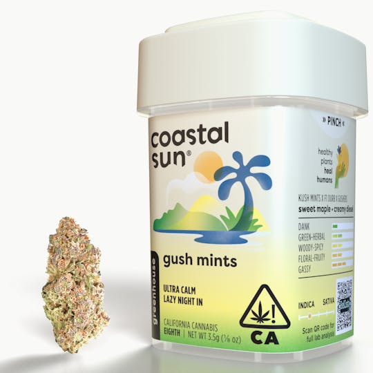 Coastal Sun - Gush Mints Greenhouse Flower 3.5g - 1