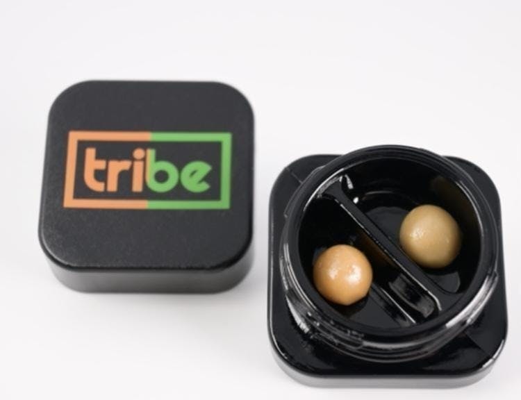 Tribe - Amnesia Haze + Jr. Mints | Live Ice Water Hash | Dual Temple Balls | 1g - 1