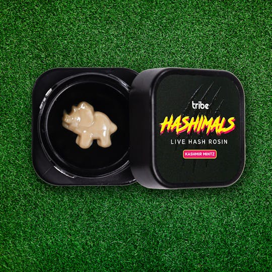 Tribe - Hashimals - Triceratops - 0.5 Grams - 1