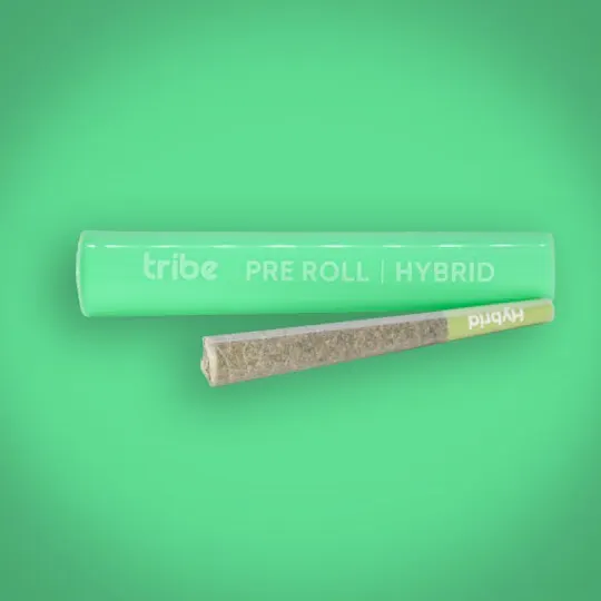 Tribe - Tribe | Georgia Pine | Joint | 1g - 1
