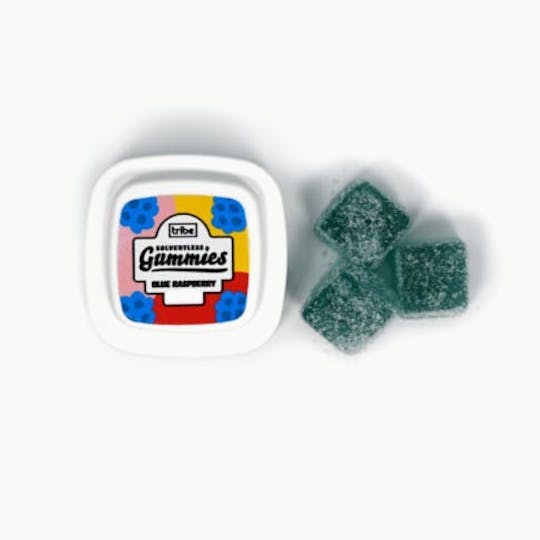 Tribe - Solventless Gummies - Blue Raspberry - Sativa 33mg/piece 363mg Total - 1