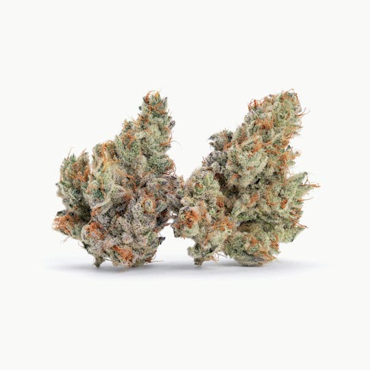 Zero Gravity Cannabis - Flower - Jelly Rancher 70/30 Sativa Dominant - 1