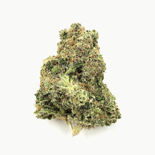 Indico - Raspberry Cough - 1