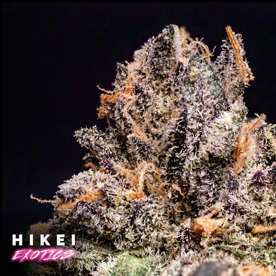 Hikei Exotics - Candy Apple Crush Eightr 3.5g - 1
