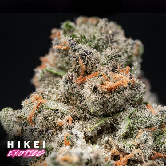 Hikei Exotics - Banana Jamma Eightr 3.5g - 1