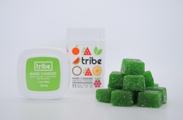 Tribe - Tribe | Sativa | Cool Mint Edibles | 1320mg | 11ct | 120mg/ea - 1