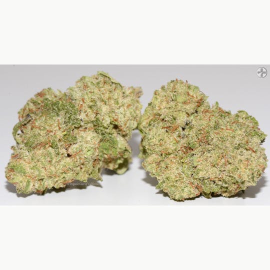 Organic Care of California - (29%) Krush Mints (3.5g) HYBRID Greenhouse - 1