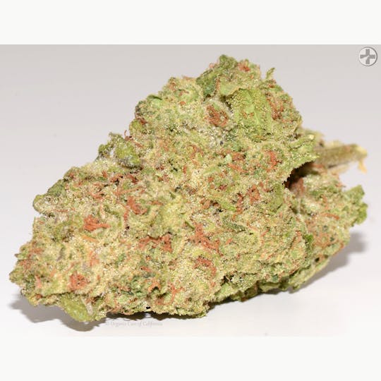 Organic Care of California - (31.4%) Lava Cake X Runtz (3.5g) INDICA Greenhouse - 1