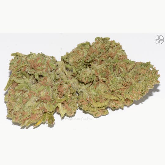 Organic Care of California - (33%) Blueberry Fuego (3.5g) SATIVA Greenhouse - 1