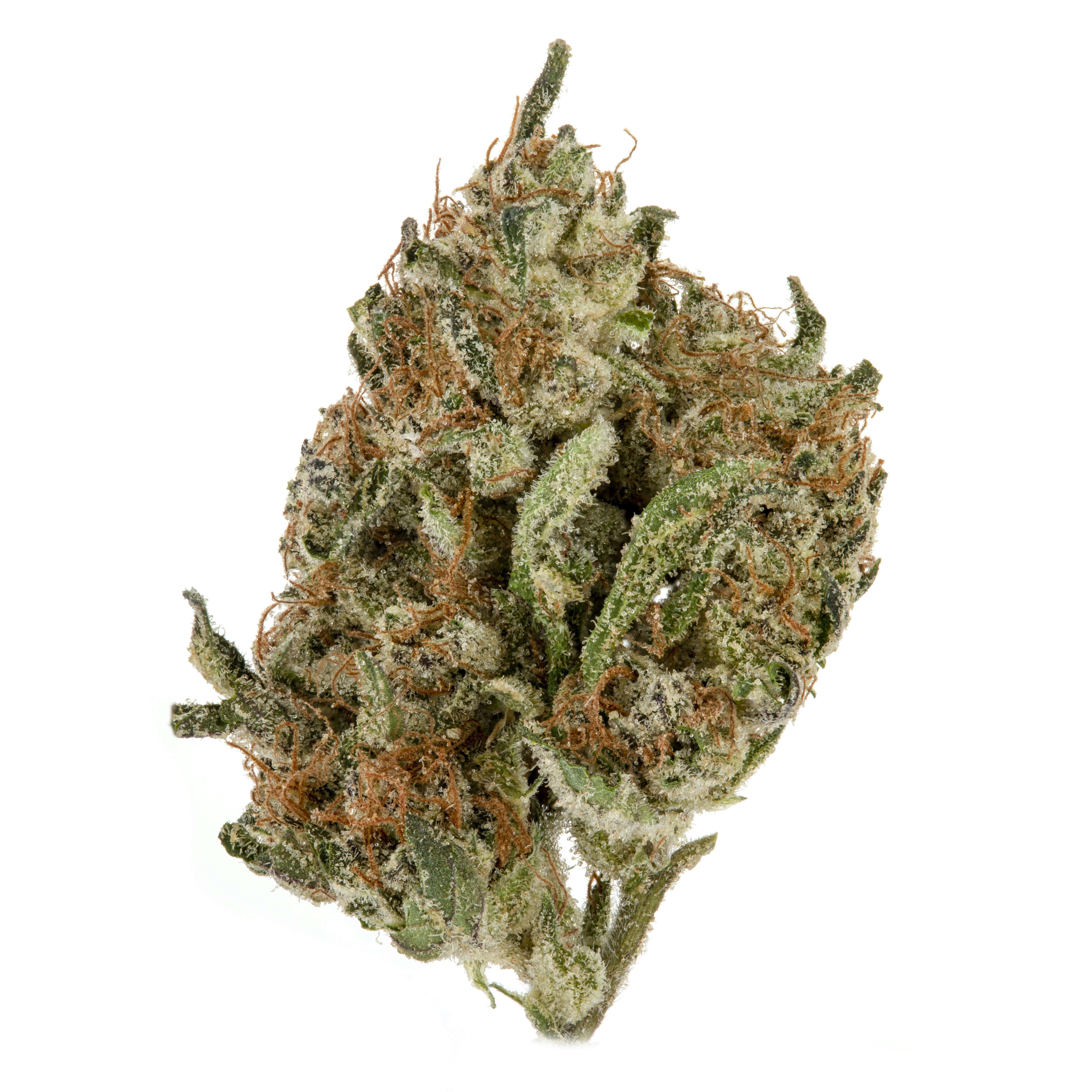 Casacanna - Amalfi - 1