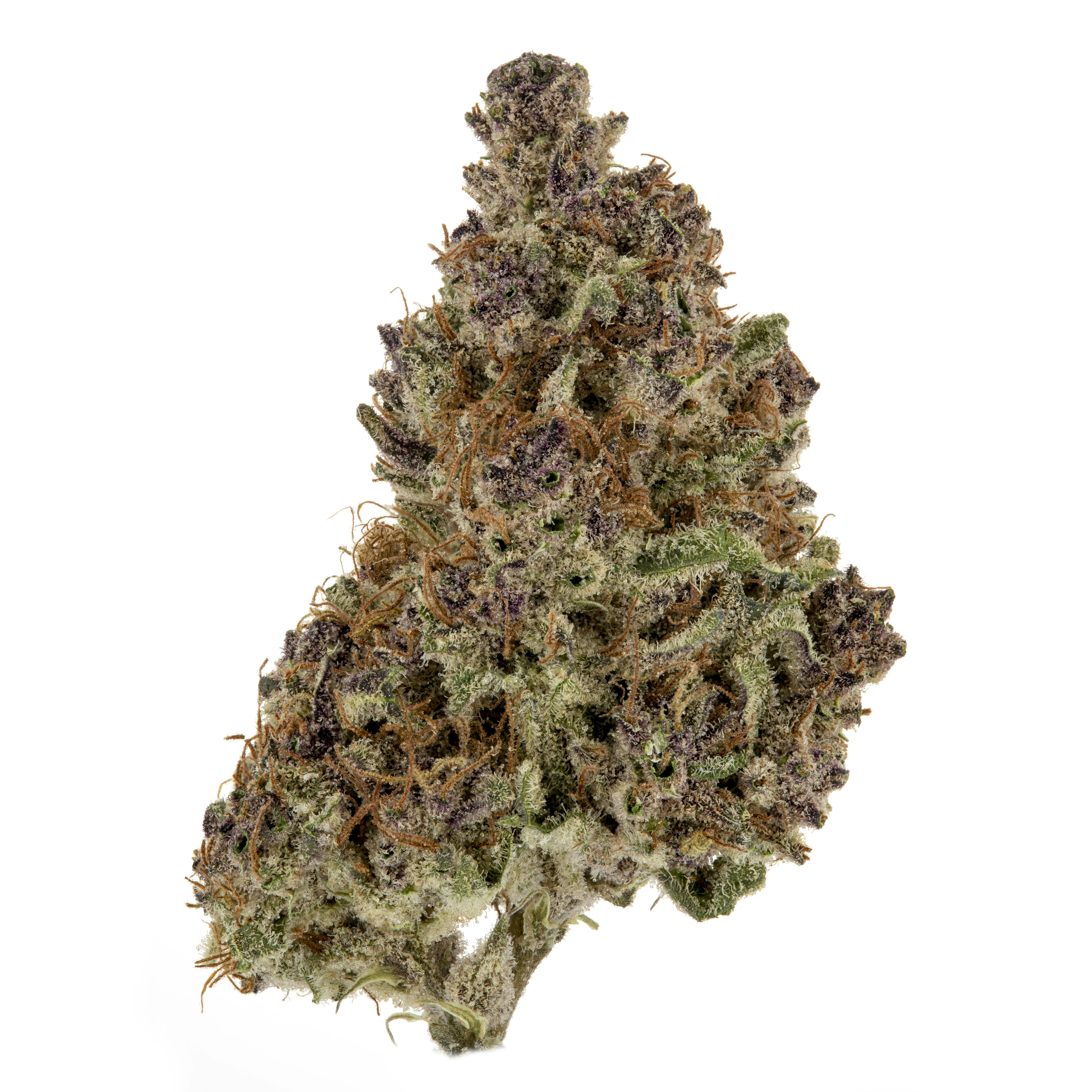 Casacanna - Mom's Weed - 1