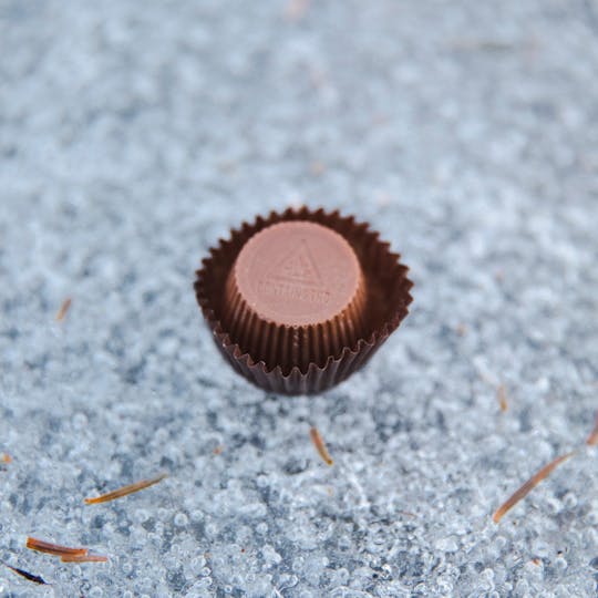 Norumbega Provisions - Milk Chocolate Peanut Butter Cup 20mg Single Serving - 1