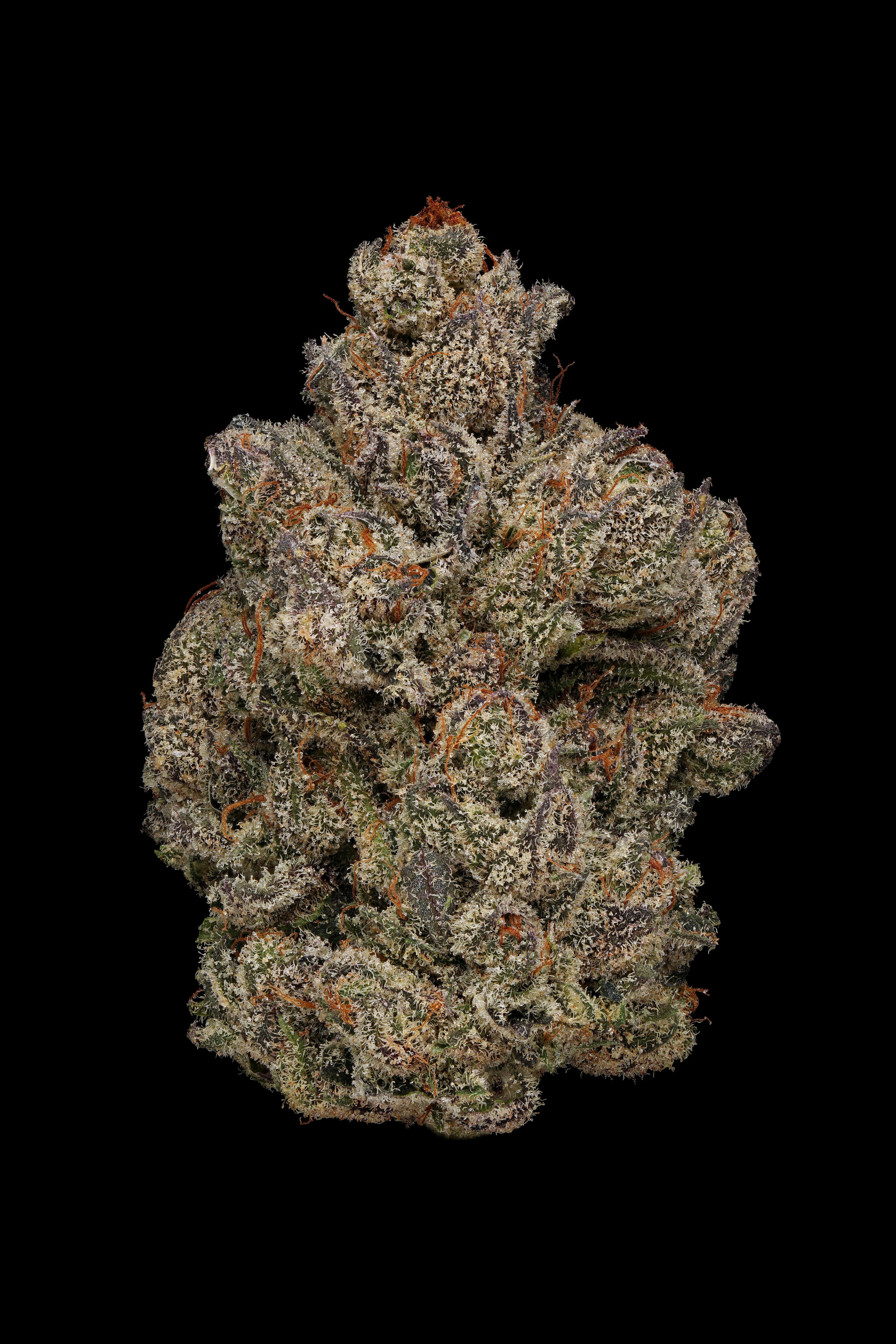 Clade9 - South Central Purps Flower 1/8 - 1